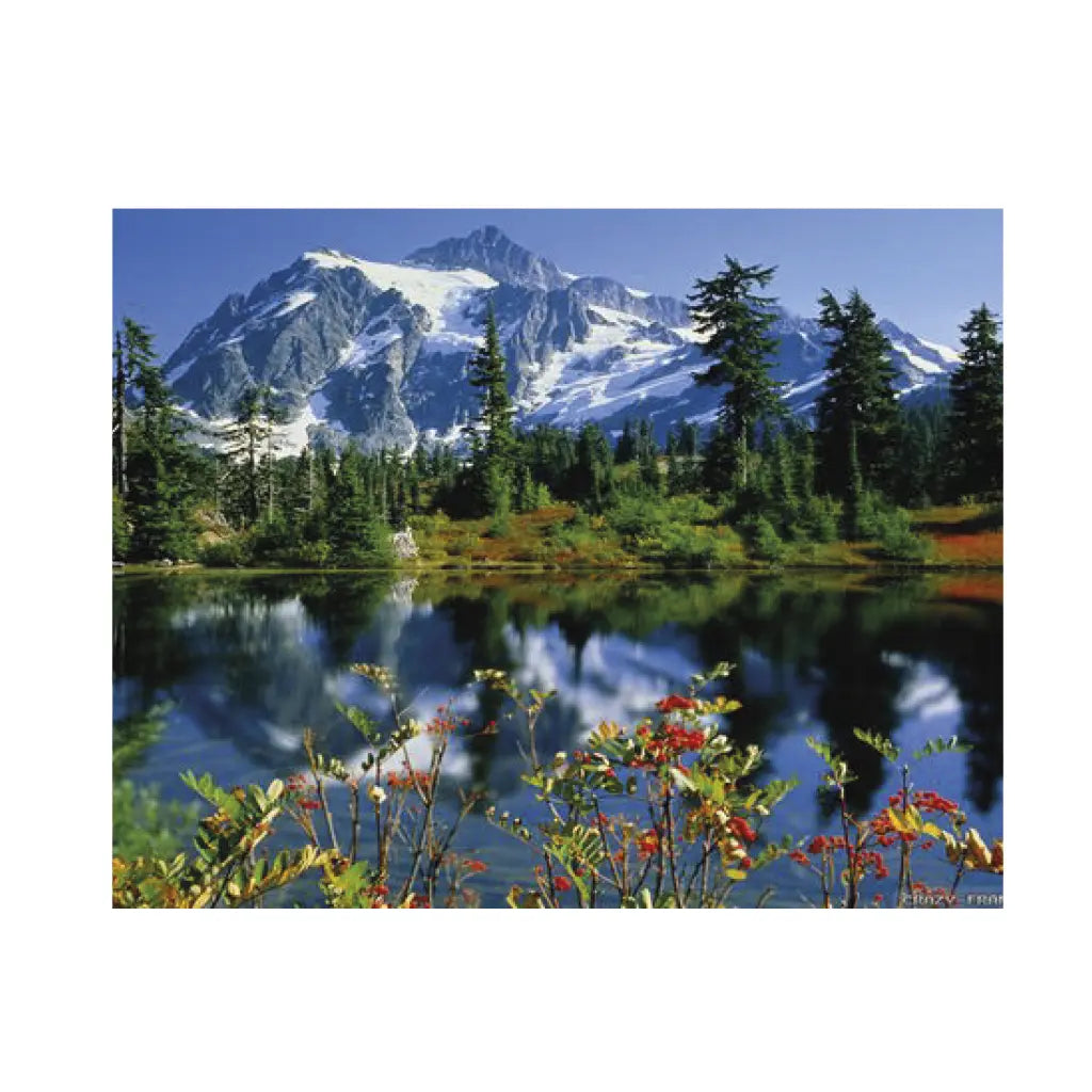 ARTE DIAMANTE PAISAJE DE VERANO 40X50 - Diako