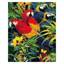 PINTA POR NÙMERO GUACAMAYAS 40X50 - Diako