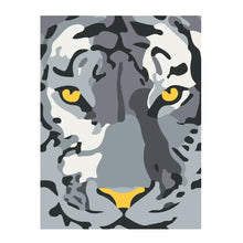 PINTA POR NUMERO 30X40 TIGRE DE BENGALA - Diako Nuevos - vista trasera