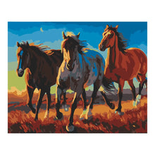 PINTA POR NUMERO 40X50 CABALLOS - Diako - vista trasera