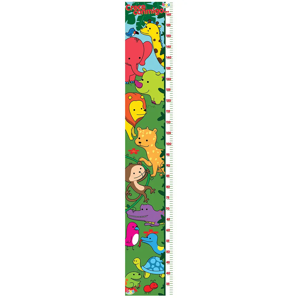 Lámina Educativa Crecimiento Selva Doble Vista Diako - Diako - detalle
