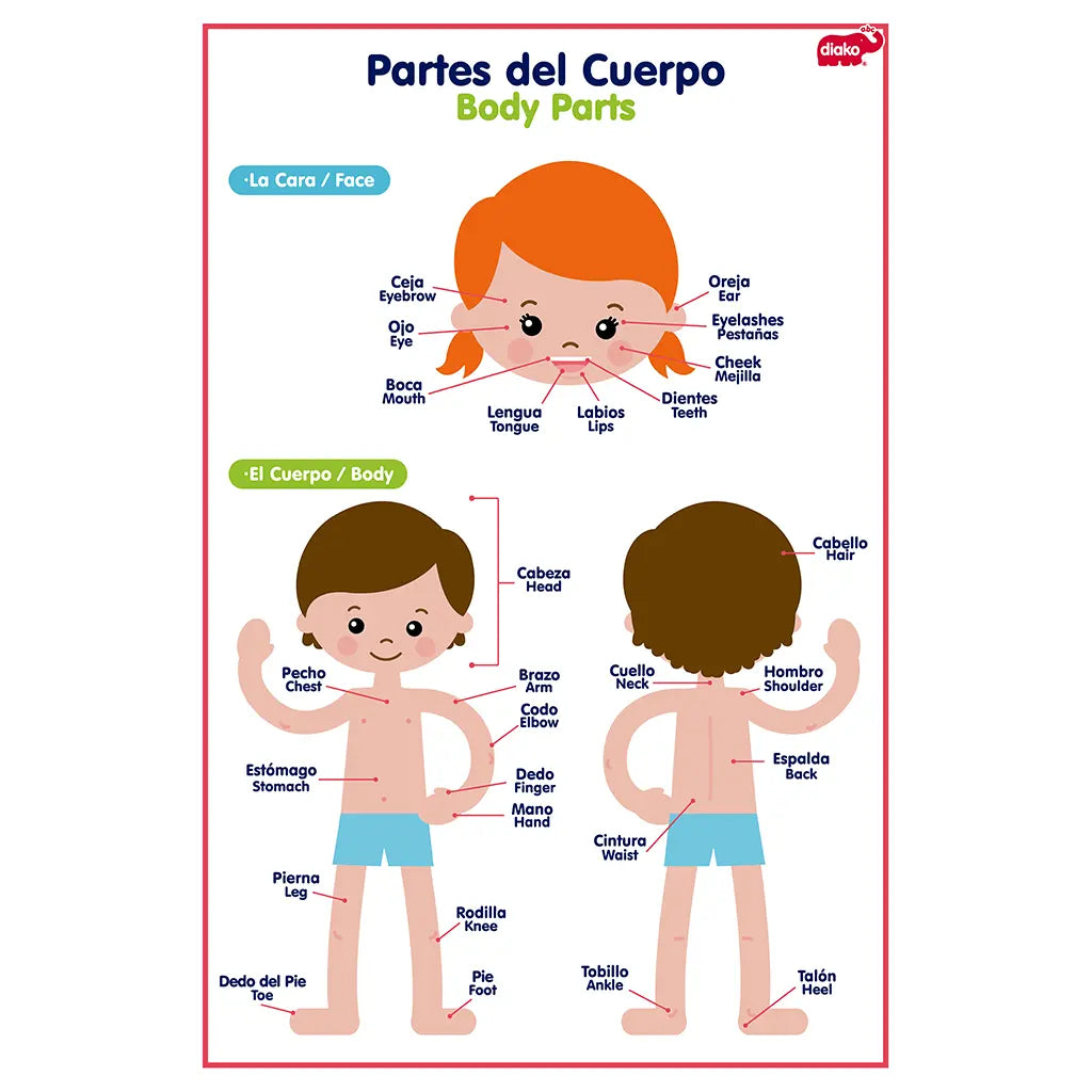 LÁMINA PARTES DEL CUERPO Y PRENDAS - Diako - vista lateral